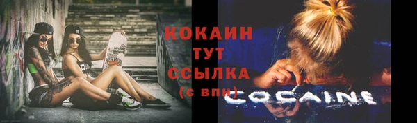 гидропоника Арсеньев