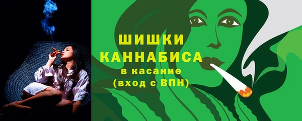 spice Аркадак