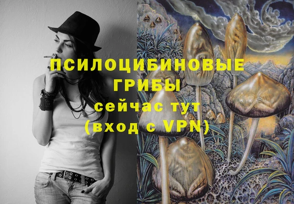 гидропоника Арсеньев