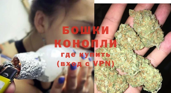 spice Аркадак