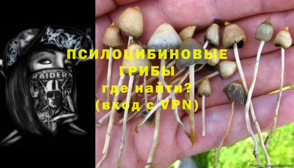 гидропоника Арсеньев