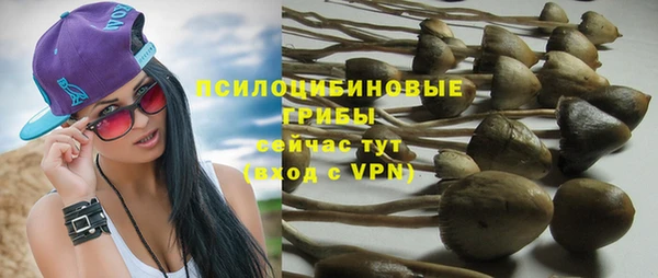 spice Аркадак