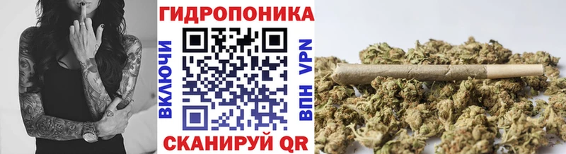 МАРИХУАНА индика сайты даркнета наркотические препараты Краснослободск закладка